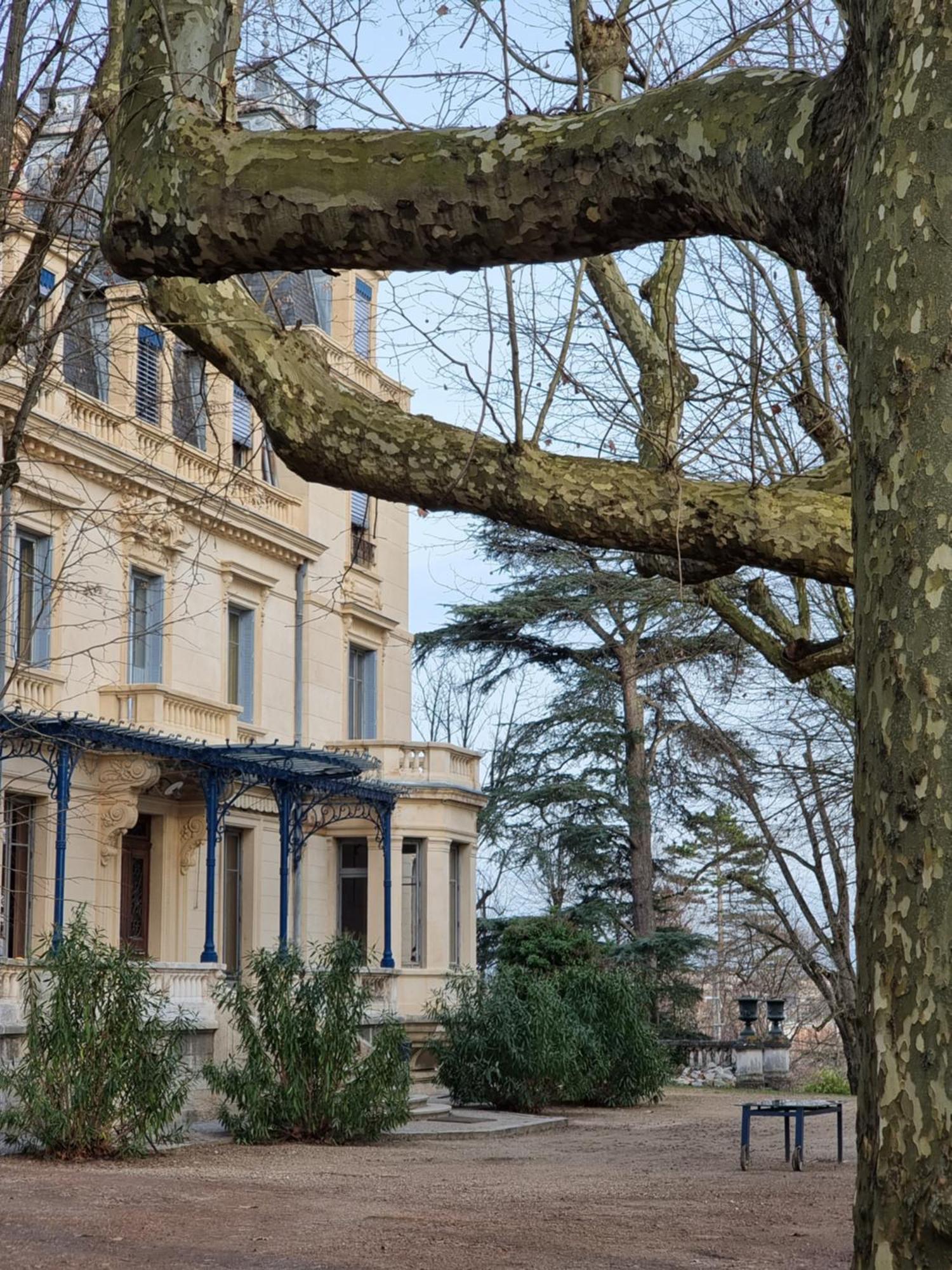 Irigny Hotel-Musee Villa Bagatelle المظهر الخارجي الصورة